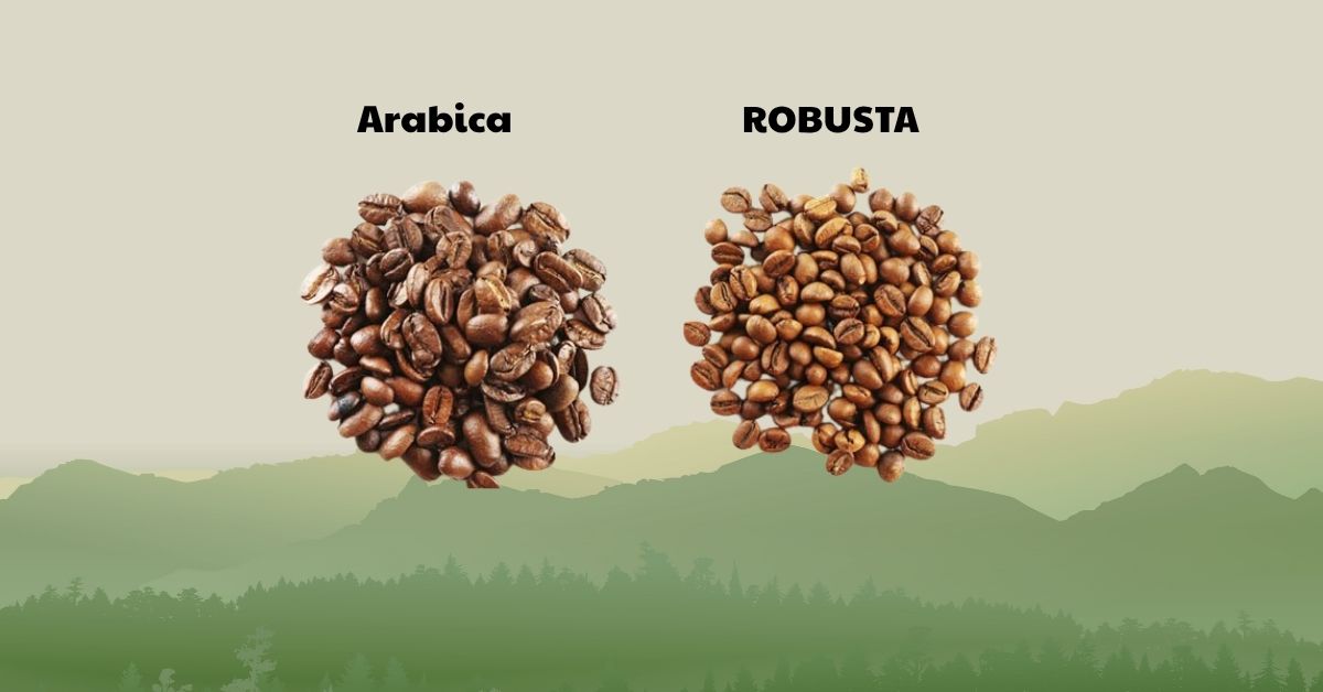 Arabica và Robusta