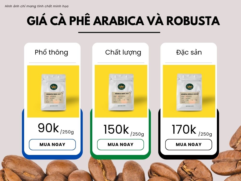 So sánh giá cà phê Arabica và Robusta