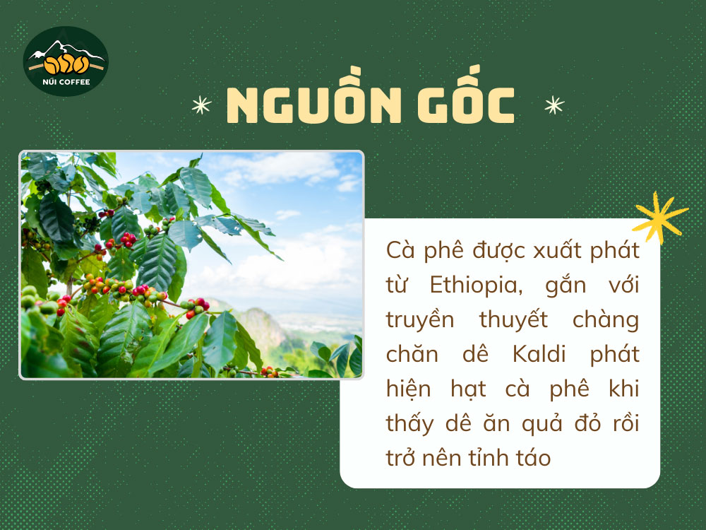 nguồn gốc cafe