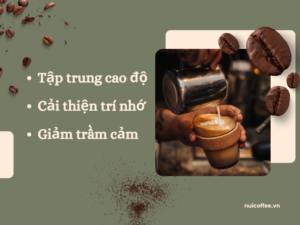 cong-dung-cua-ca-phe