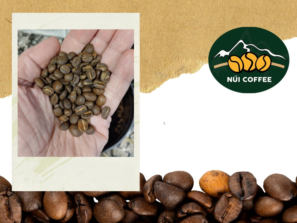 Hạt cà phê rang mộc Robusta nguyên chất, màu nâu đậm, hương thơm mạnh và vị đậm đặc trưng.