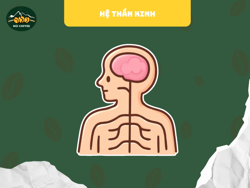 tác hại của cà phê