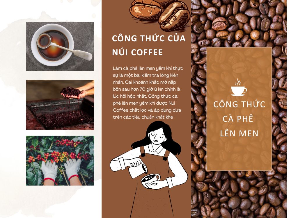 Giải thích khái niệm cà phê lên men yếm khí là gì và quy trình sơ chế rút oxy tại Núi Coffee.