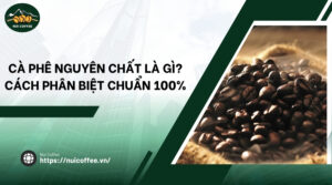 Cà phê nguyên chất là gì? Cách phân biệt CHUẨN 100%