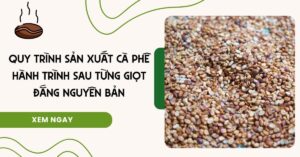 quy-trinh-san-xuat-ca-phe