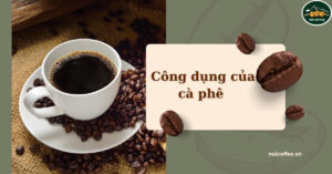 cong-dung-cua-ca-phe