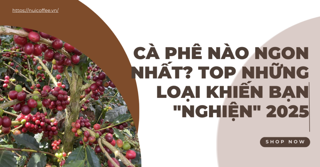 cà phê nào ngon